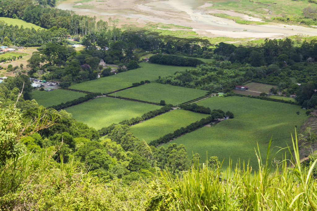 terrain a vendre off market suisse
